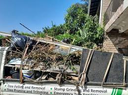 Best Attic Cleanout  in Elk Ridge, UT