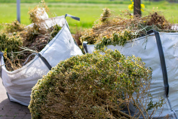 Best Yard Waste Removal  in Elk Ridge, UT
